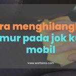 Solusi Menghilangkan Jamur Pada Jok Kulit Mobil Panduan Lengkap Untuk Interior Bersih Dan Terawat