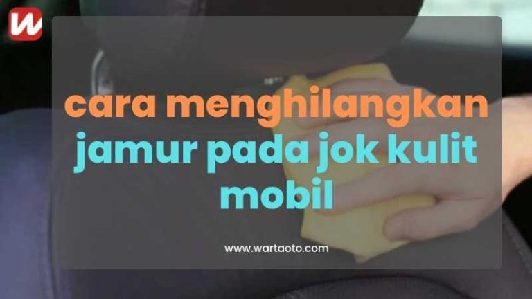 Solusi Menghilangkan Jamur Pada Jok Kulit Mobil Panduan Lengkap Untuk Interior Bersih Dan Terawat